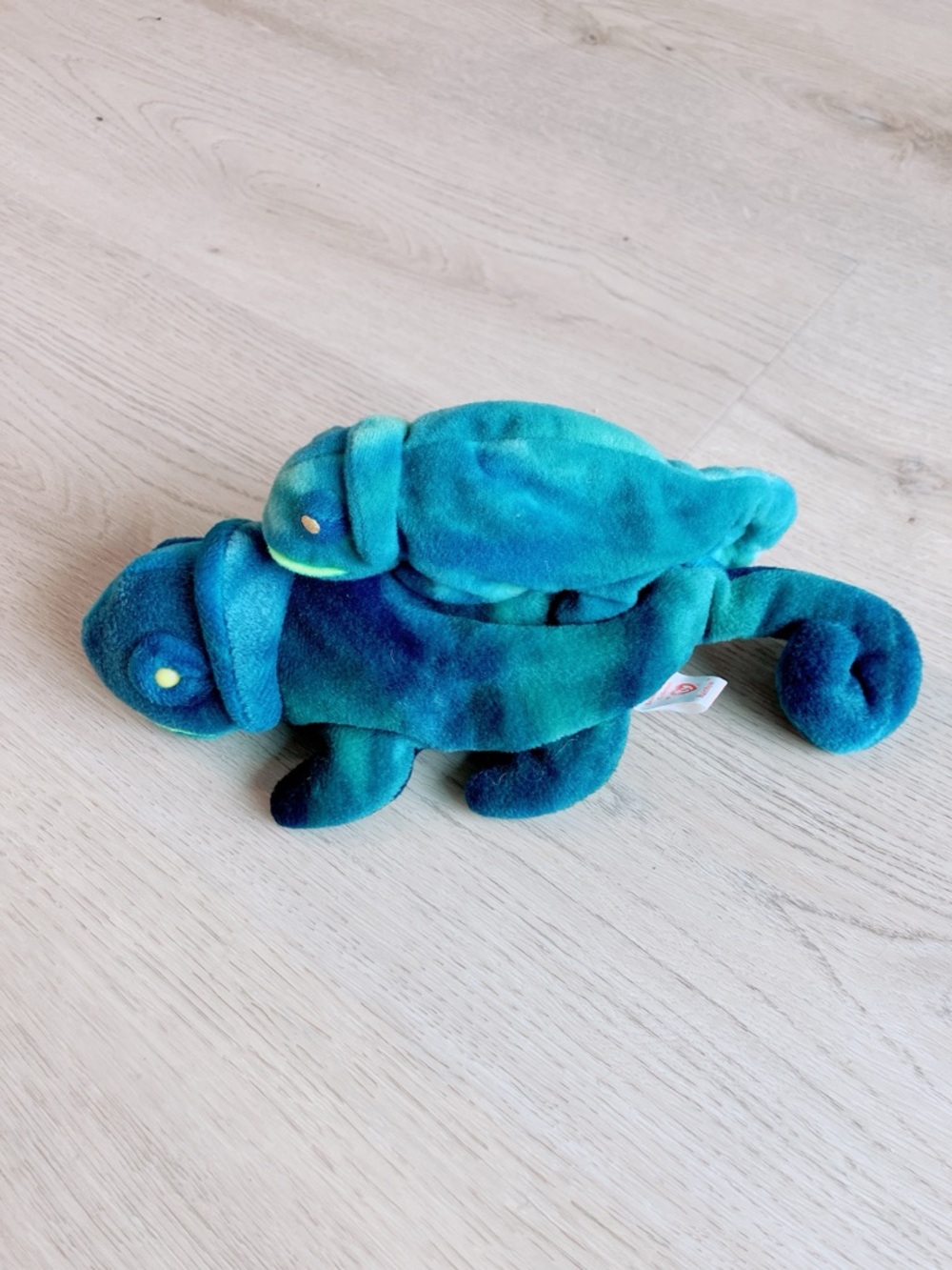 Ty Beanie Babies & Teenie Set - Rainbow the Chameleon RARE ERROR Tag & Color